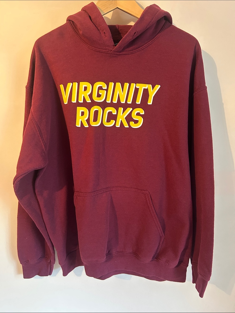Danny Duncan “Virginity Rocks" Hoodie Sweatshirt  size large